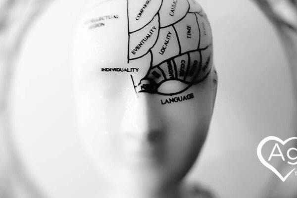 Phrenology head model with brain sections labeled, Agape Treatment Center logo in white with heart outline.