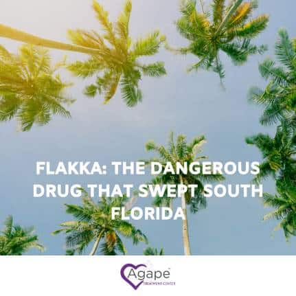 Flakka: The Dangerous Drug that Swept South Florida